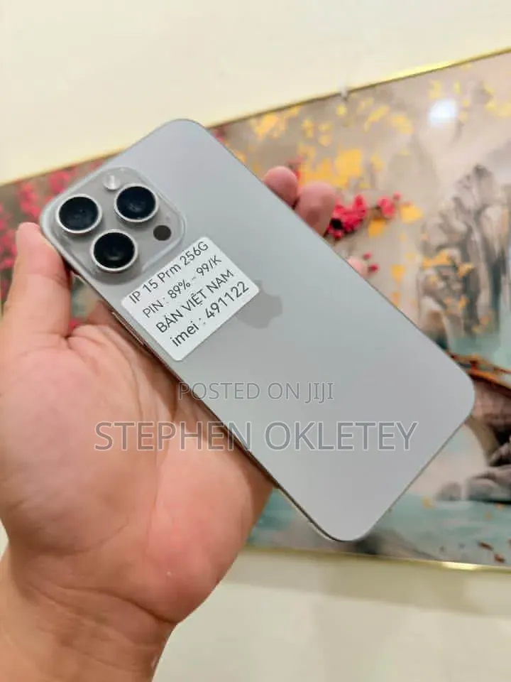 Apple iPhone 15 Pro Max 256 GB Silver