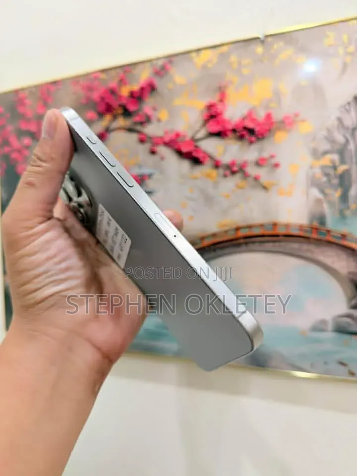 Apple iPhone 15 Pro Max 256 GB Silver