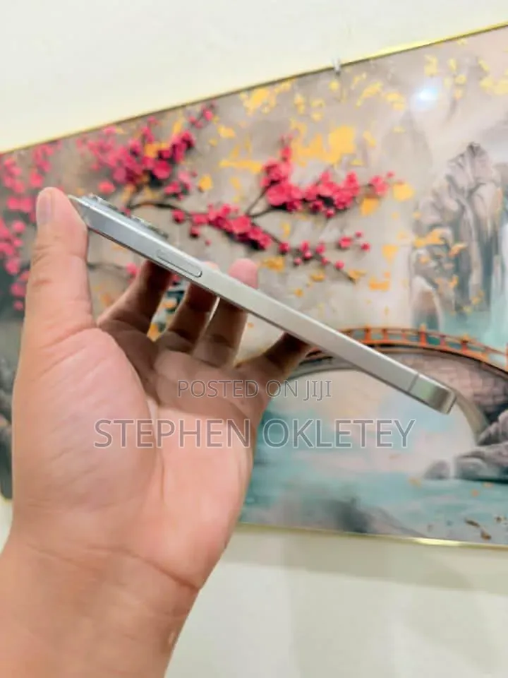 Apple iPhone 15 Pro Max 256 GB Silver
