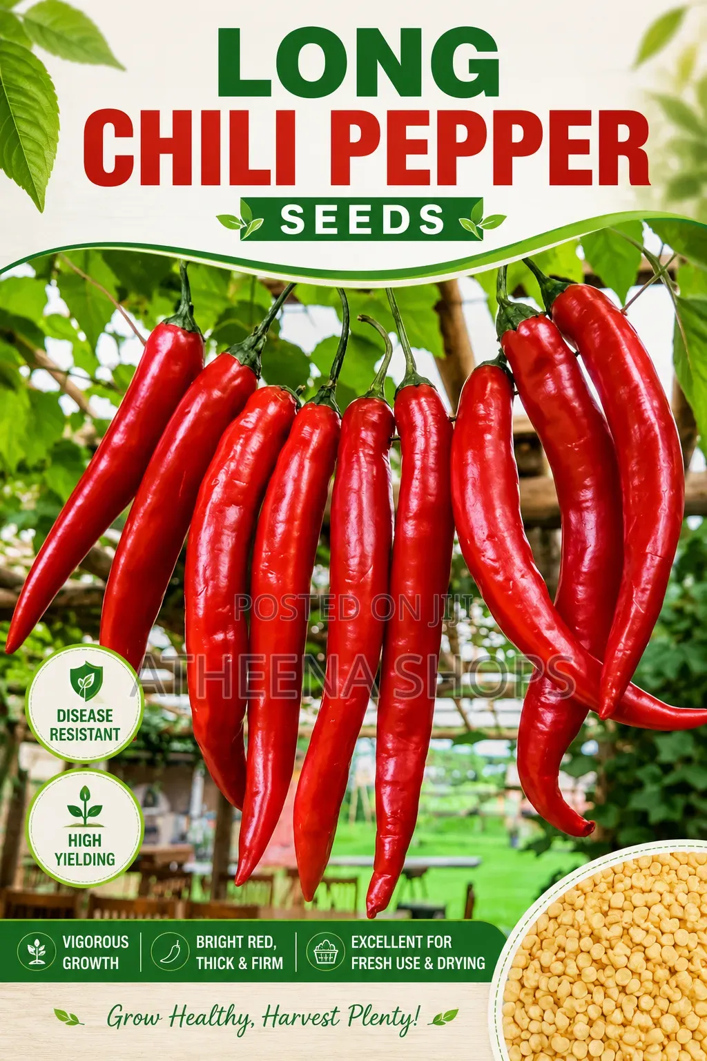 F1 Chilli Pepper Seeds ( 50 Grams)