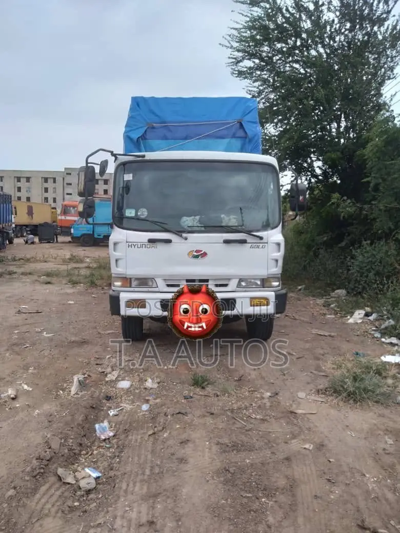 Hyundai Rlon Truck With Room 19