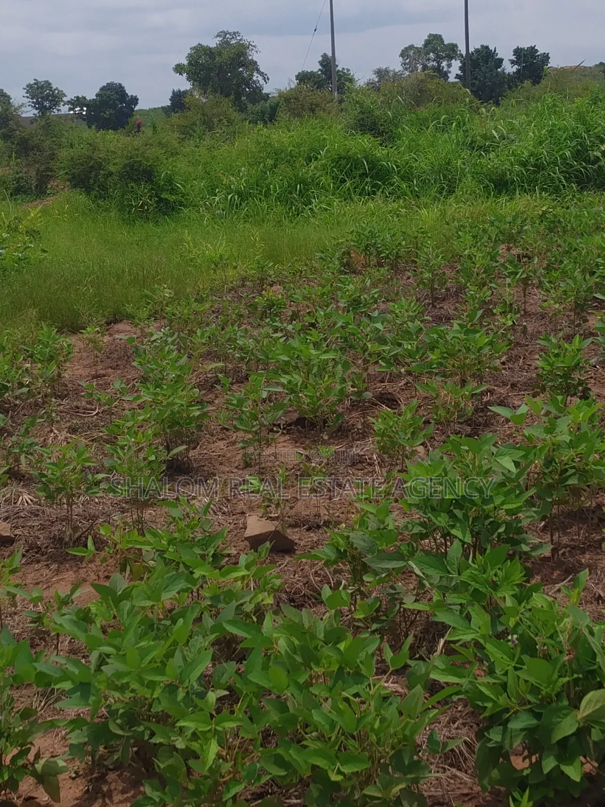 Gravel Plots Around the Tamale Airport for Sale