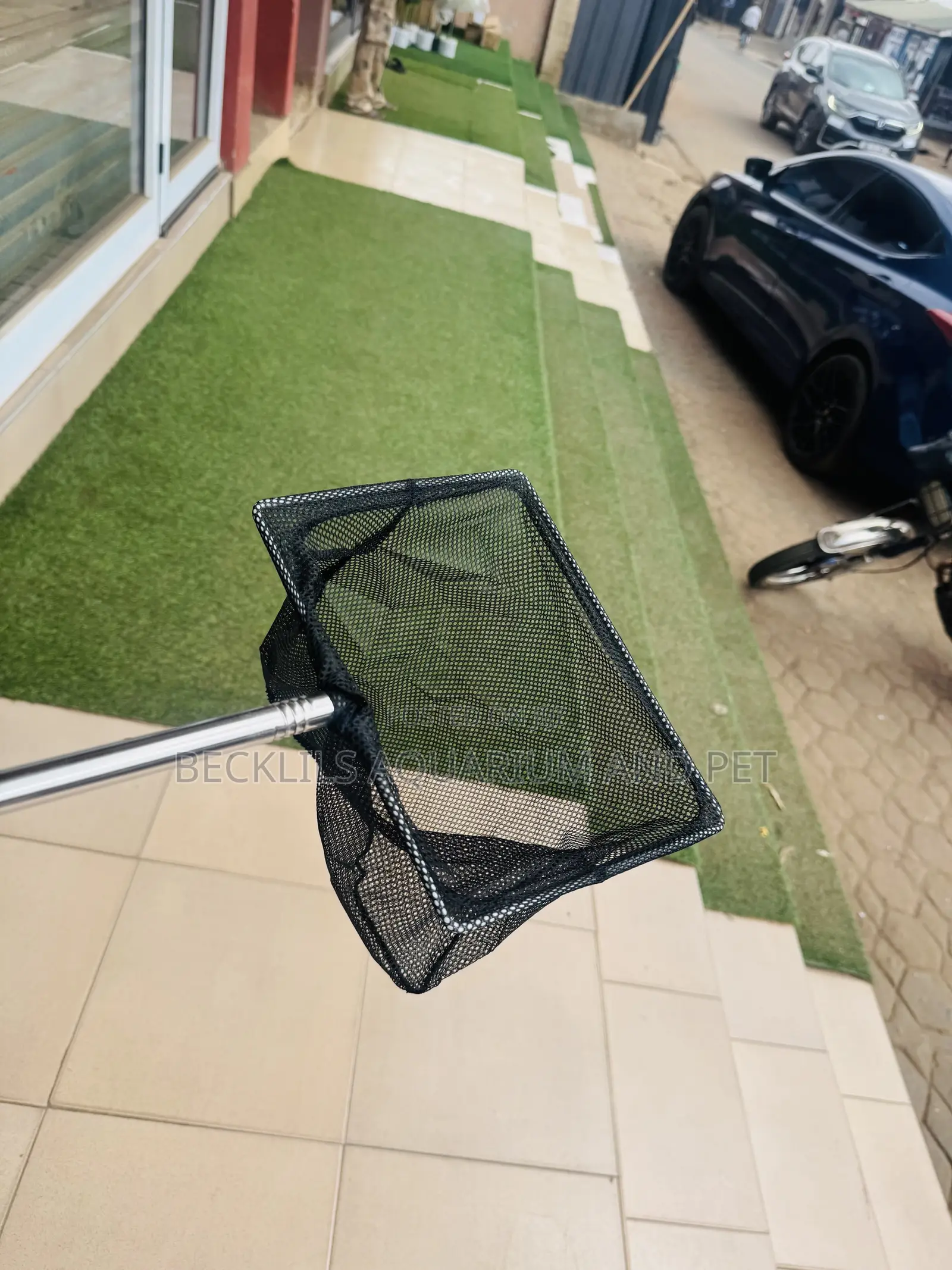 Grafe a Black Pond Net