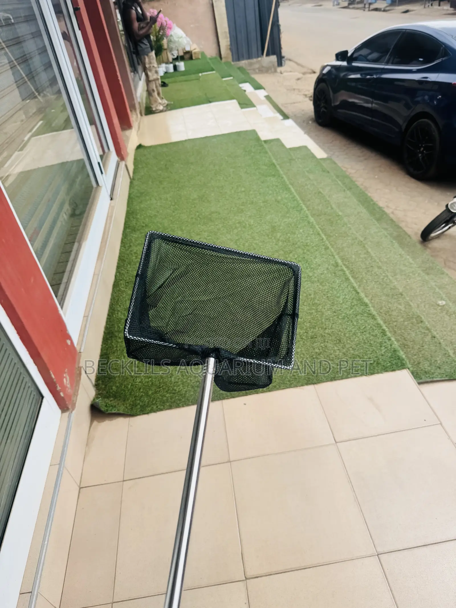 Grafe a Black Pond Net
