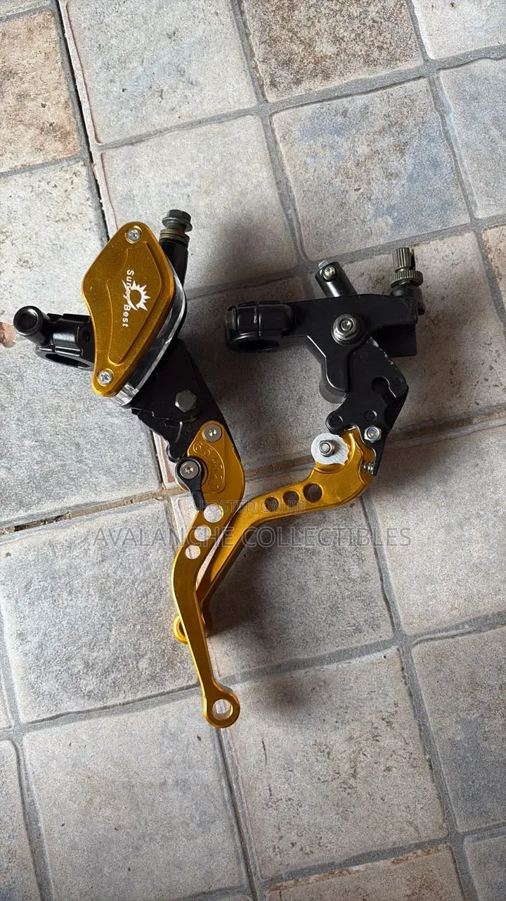 Fancy Brake Pot