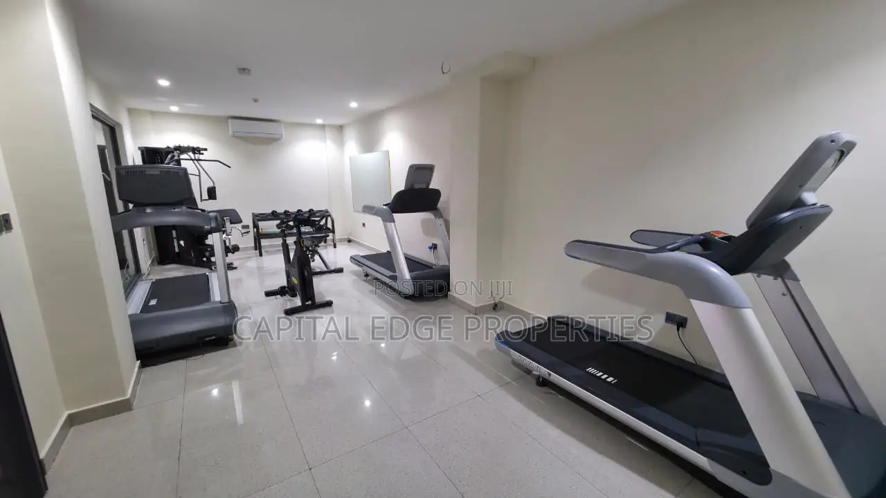 Furnished 1bdrm Apartment in Labone for rent