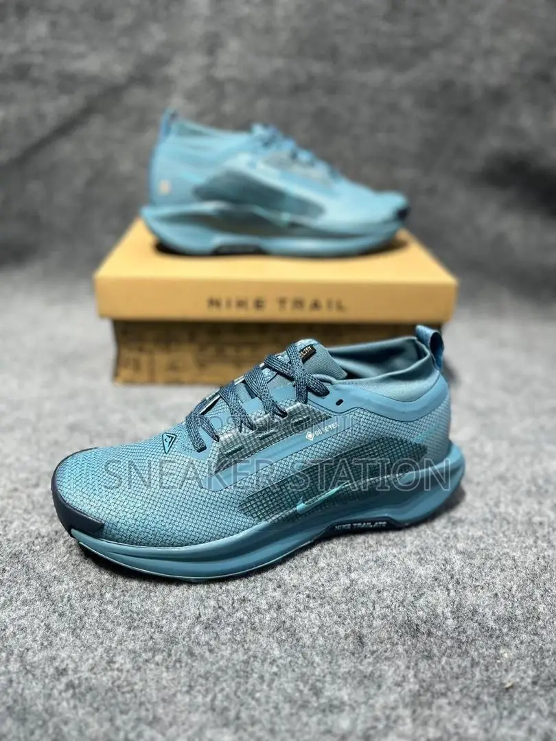 Nike Pegasus Trail 5 Available