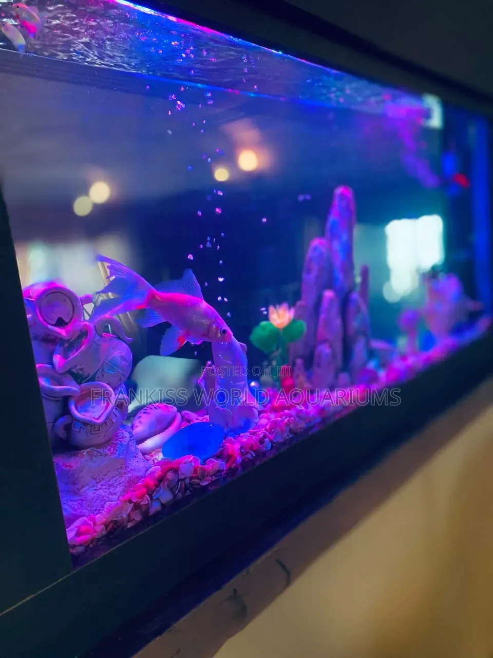 Double View Wall Unit Aquarium