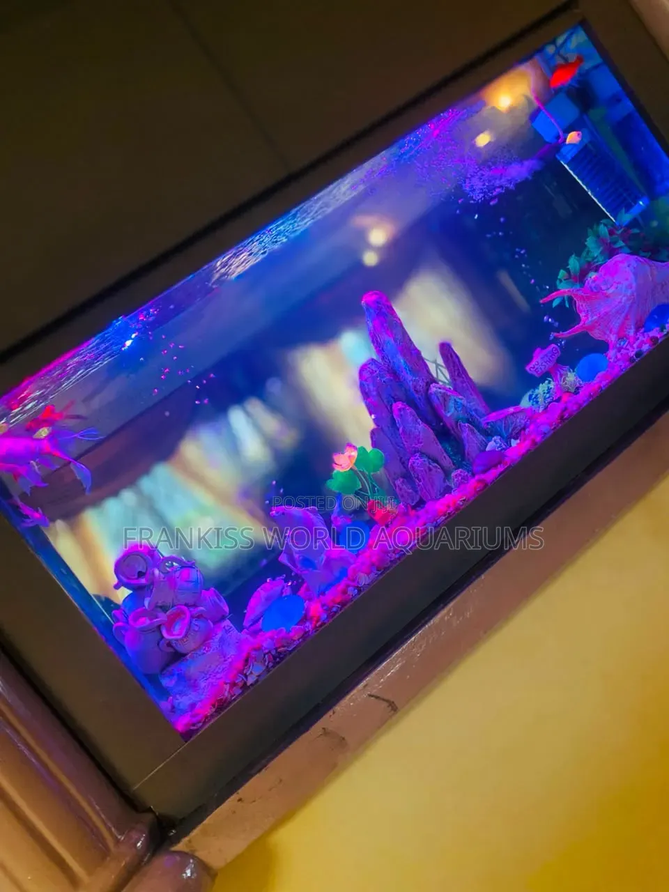 Double View Wall Unit Aquarium