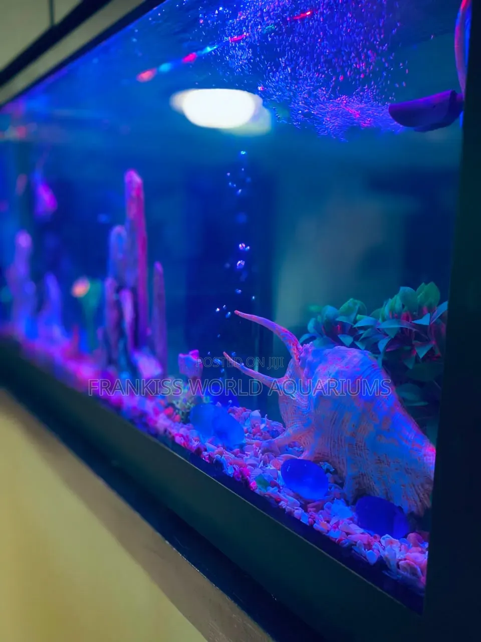 Double View Wall Unit Aquarium