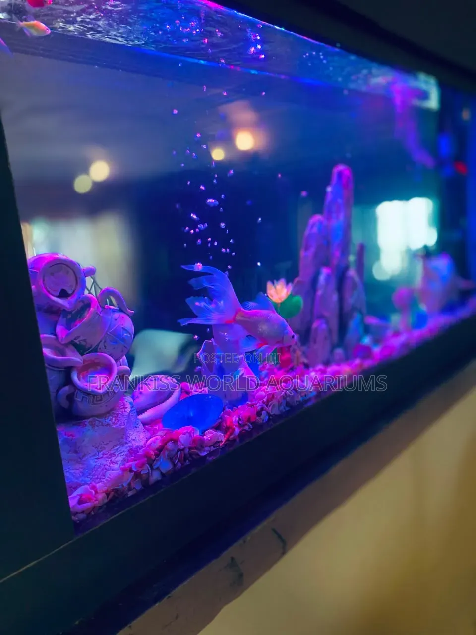 Double View Wall Unit Aquarium