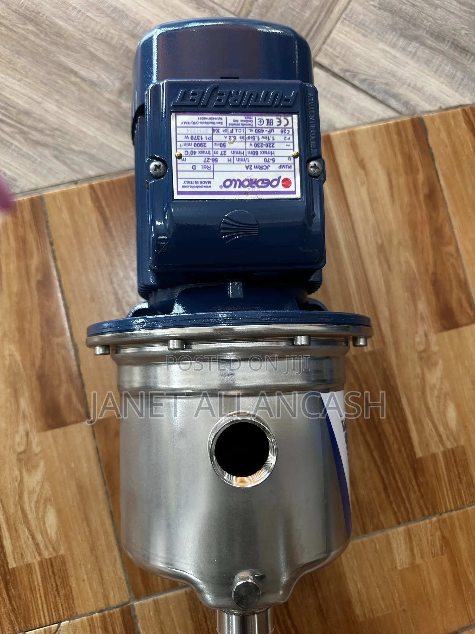 Pedrollo Water Pump