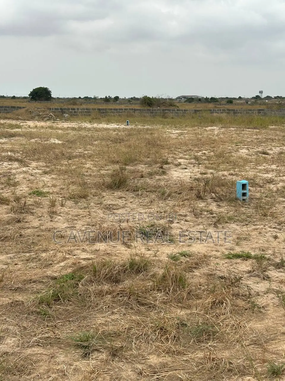 Worry-Free Land Buying in Tsopoli