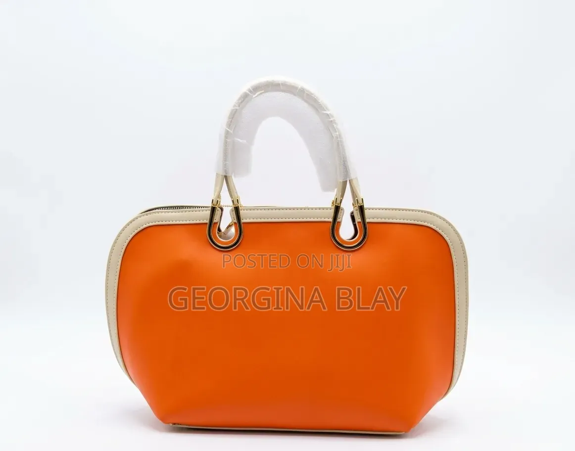 Ladies Beautiful Handbag