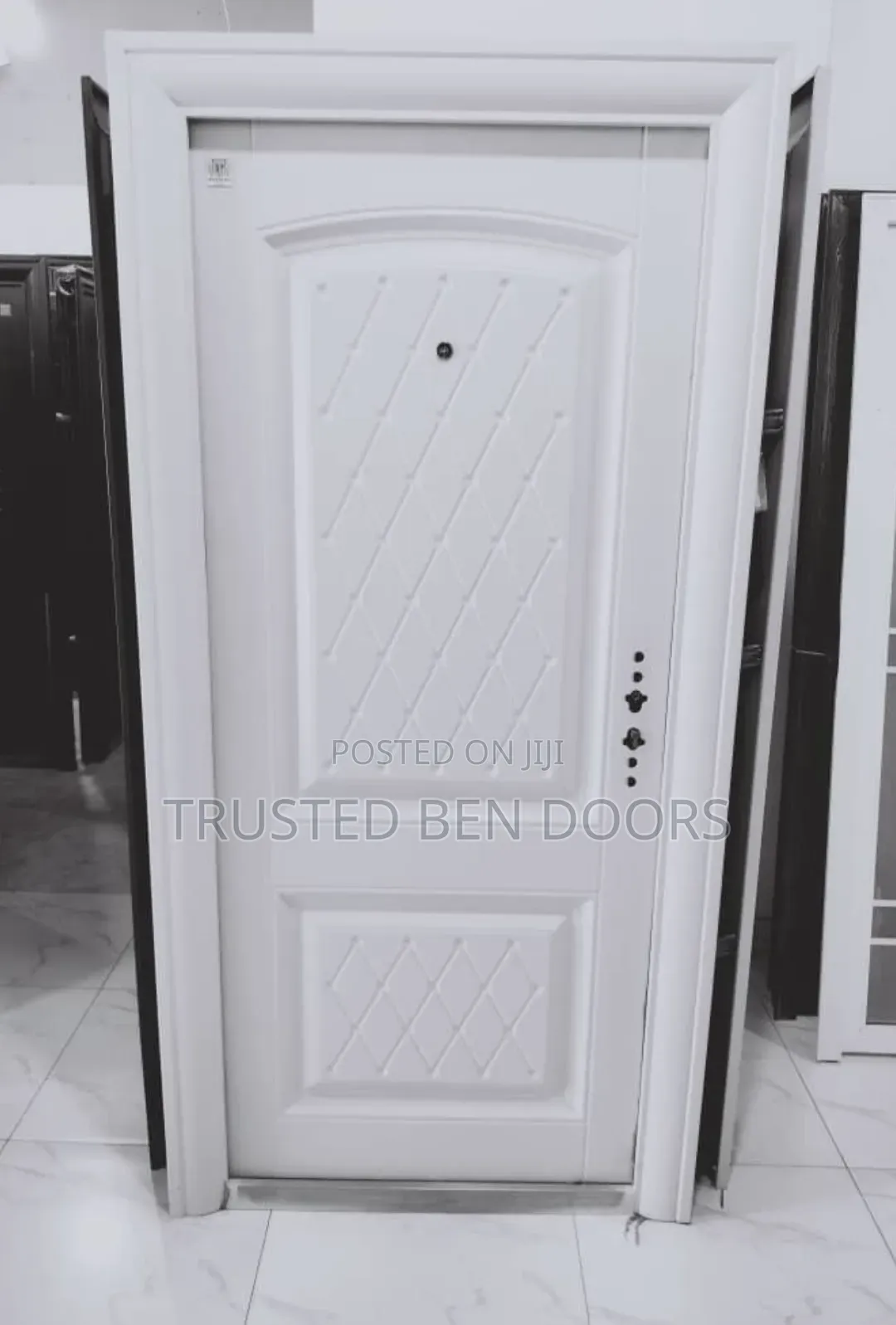 Paladin Turkey White Doors for Hall,bedroom and Kitchen
