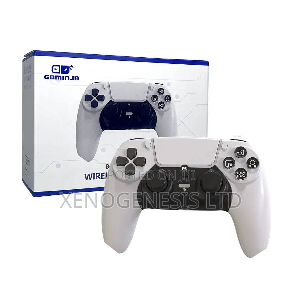 PS5 Dualsense Wireless Controller