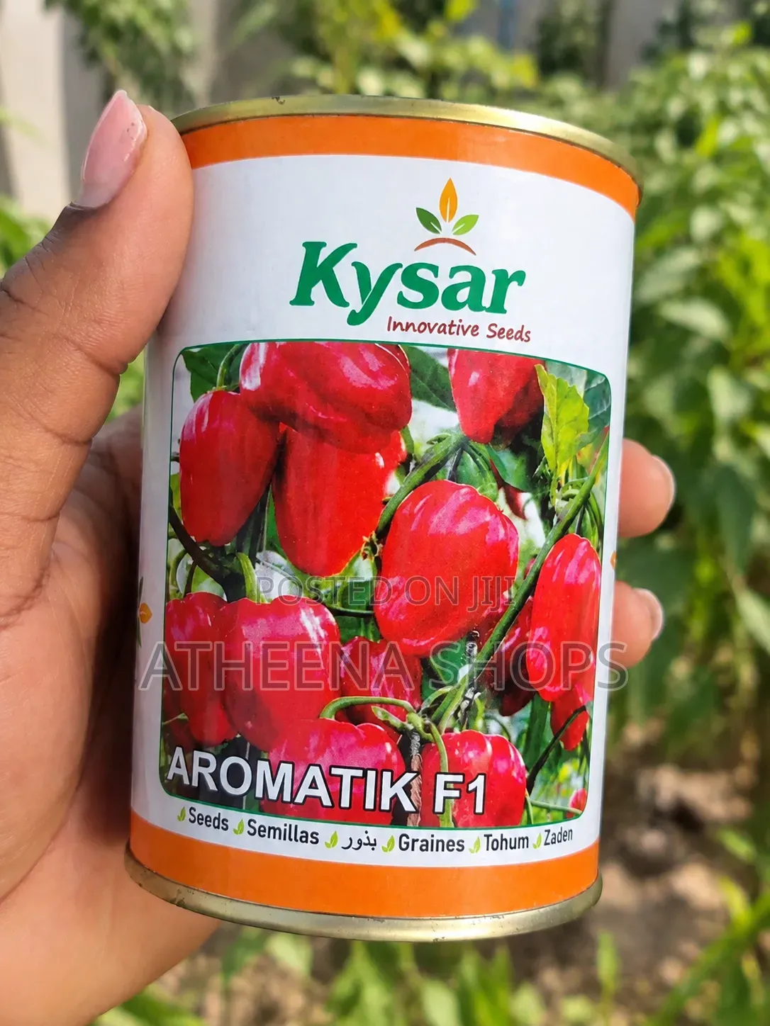 F1 Red Habanero Pepper Seeds