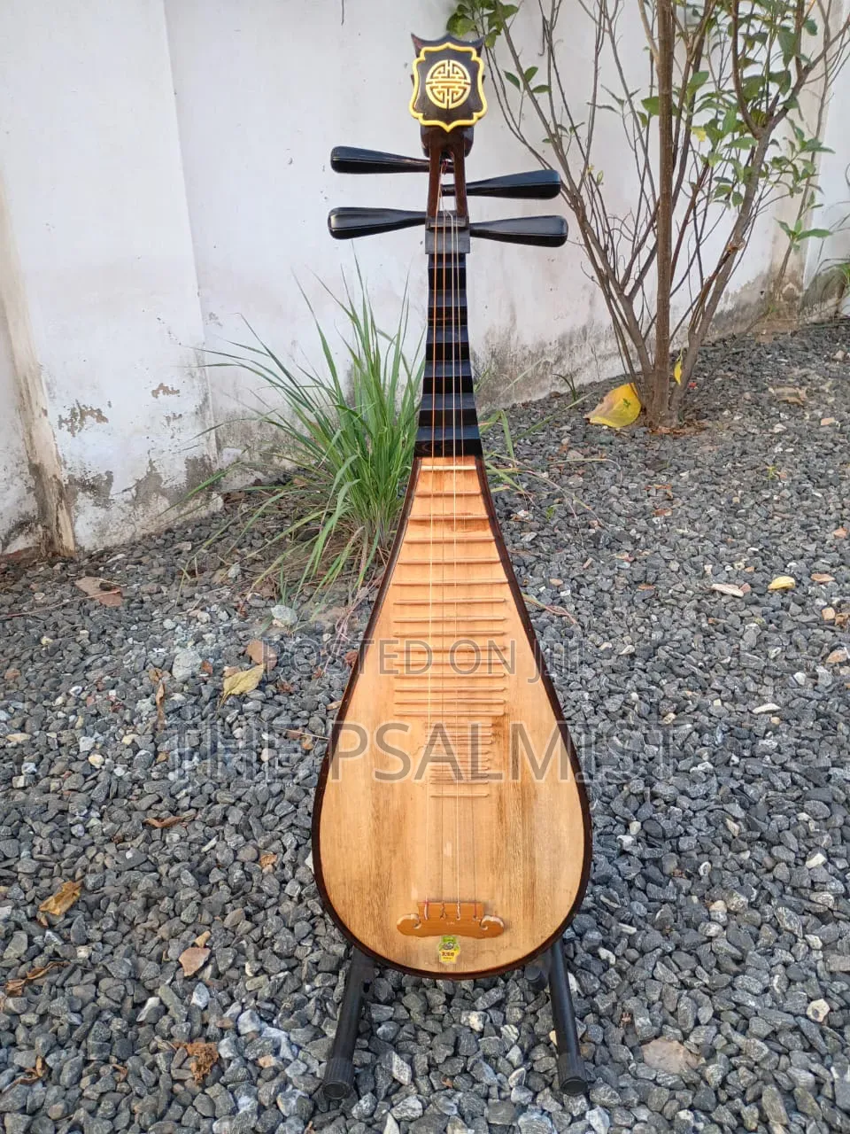 Pipa Chinese Traduitional Musical Instruments