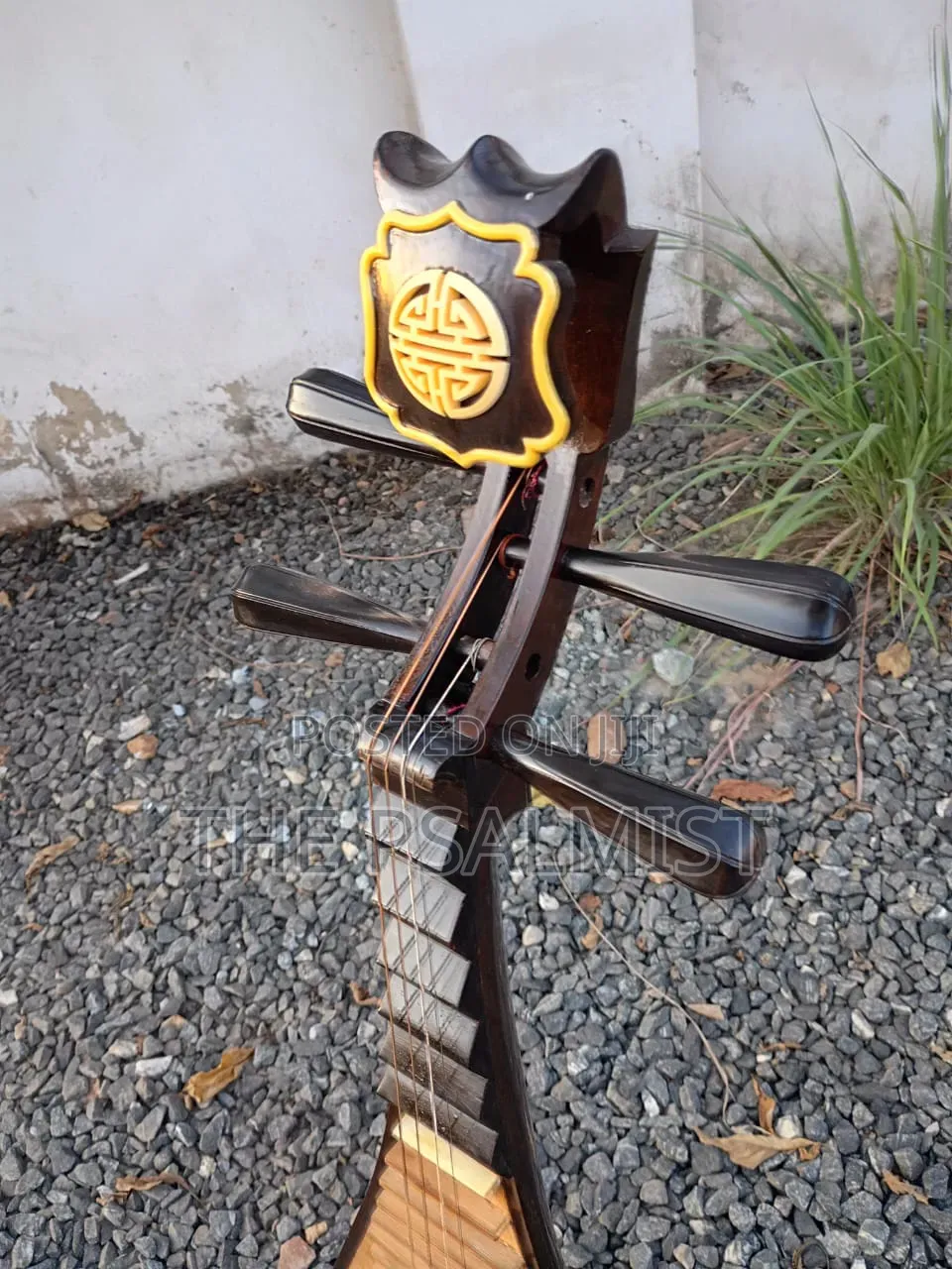 Pipa Chinese Traduitional Musical Instruments