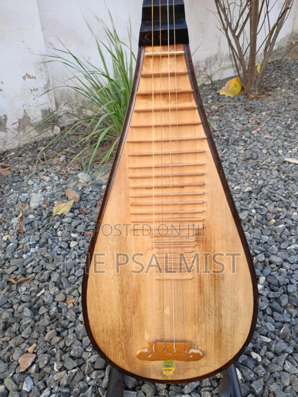 Pipa Chinese Traduitional Musical Instruments