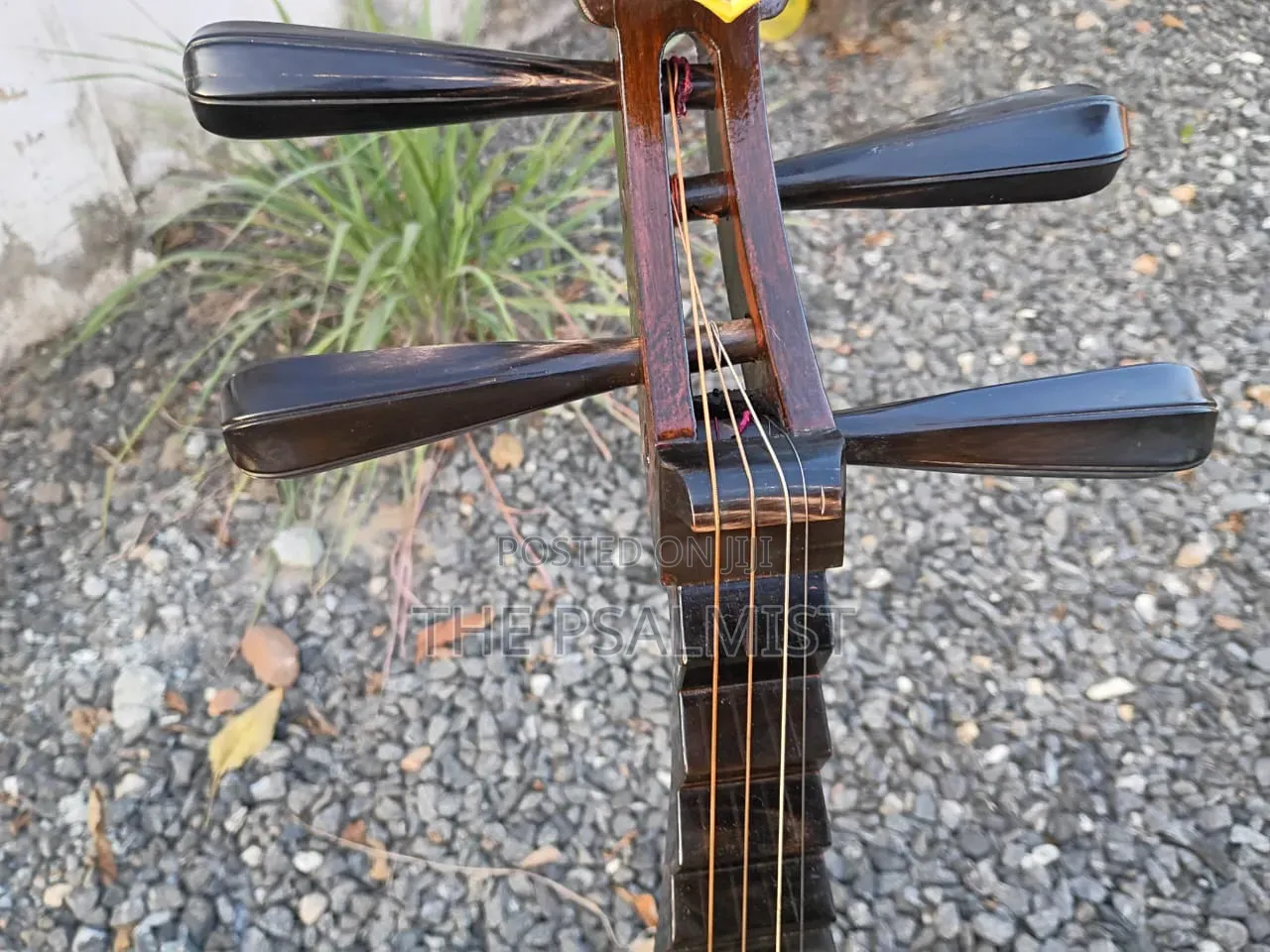 Pipa Chinese Traduitional Musical Instruments