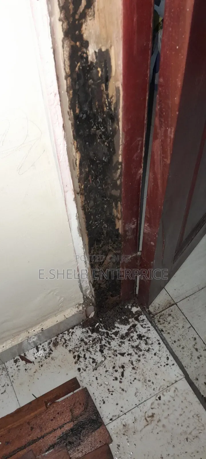 Fumigation,pest Control,cleaning and Disinfection Services