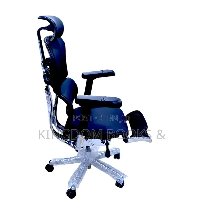 Executive Ergohuman Leather Swivel Office Chair With Footrest