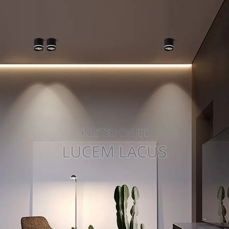 10W Round Surface Mount Spotlight