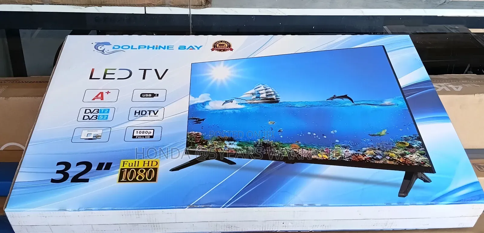 Dolphine Bay, Your Home, Your Cinema