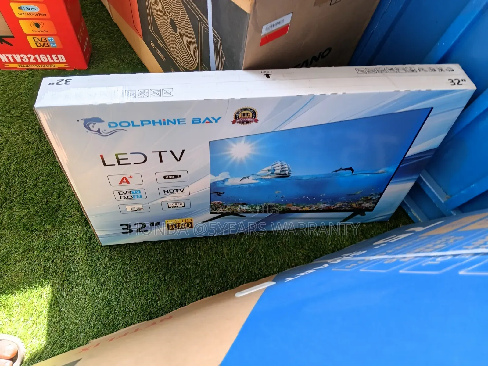 Movie Nights Are Btter on Dolpine Bay