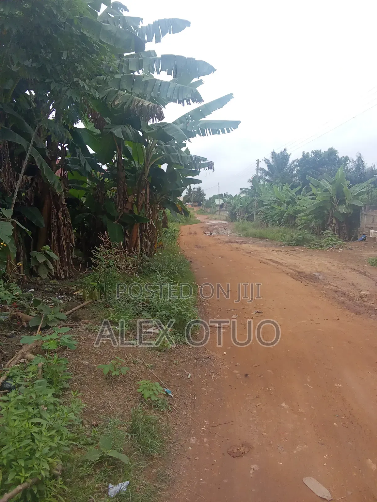 Plot of Land Good Location Akropong Daabaa
