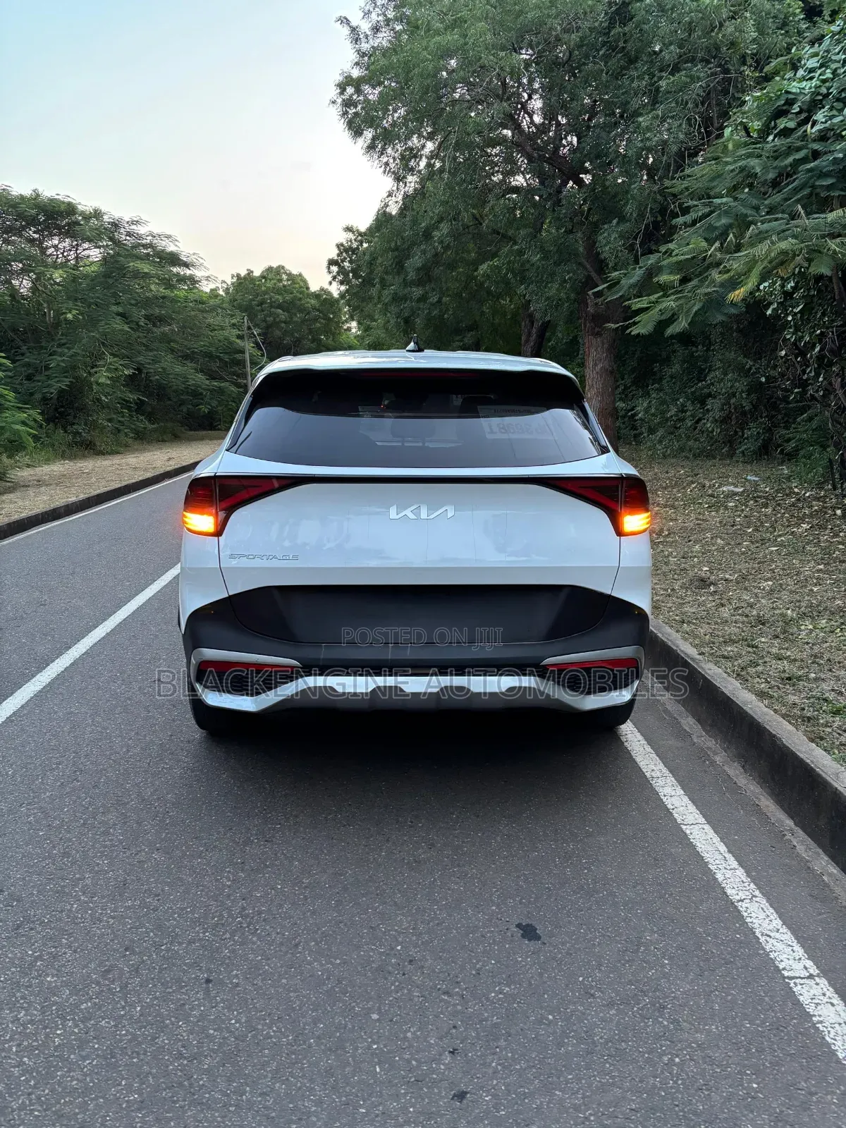 Kia Sportage EX 2023 White