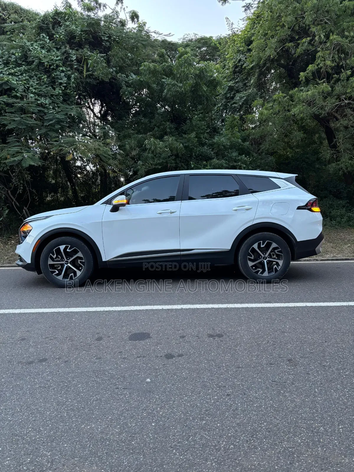 Kia Sportage EX 2023 White