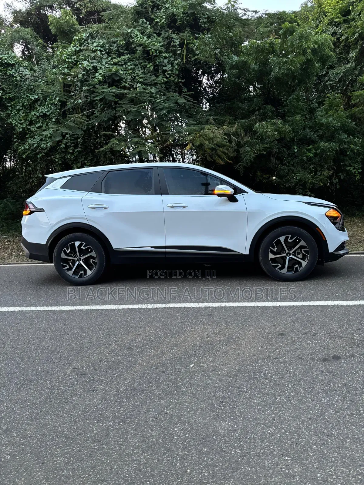 Kia Sportage EX 2023 White