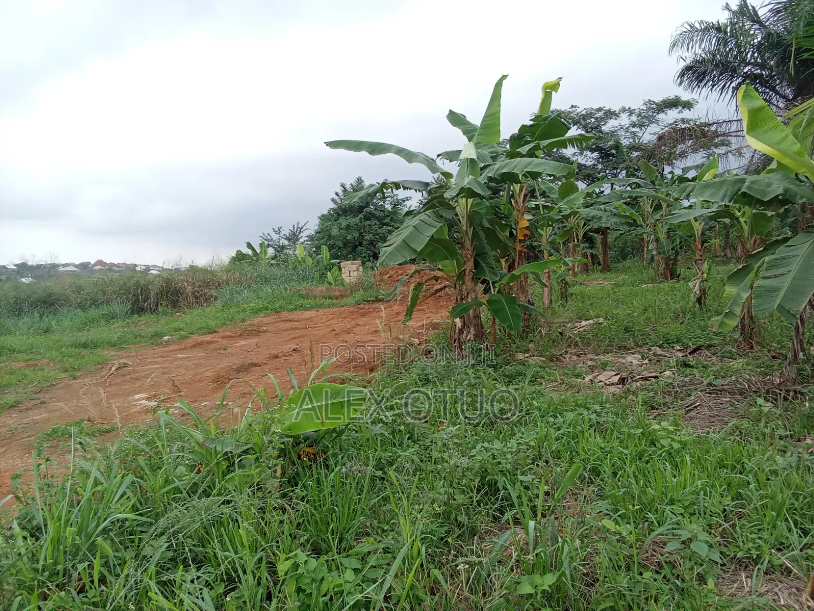 Plot of Land Asuofua Asaaman