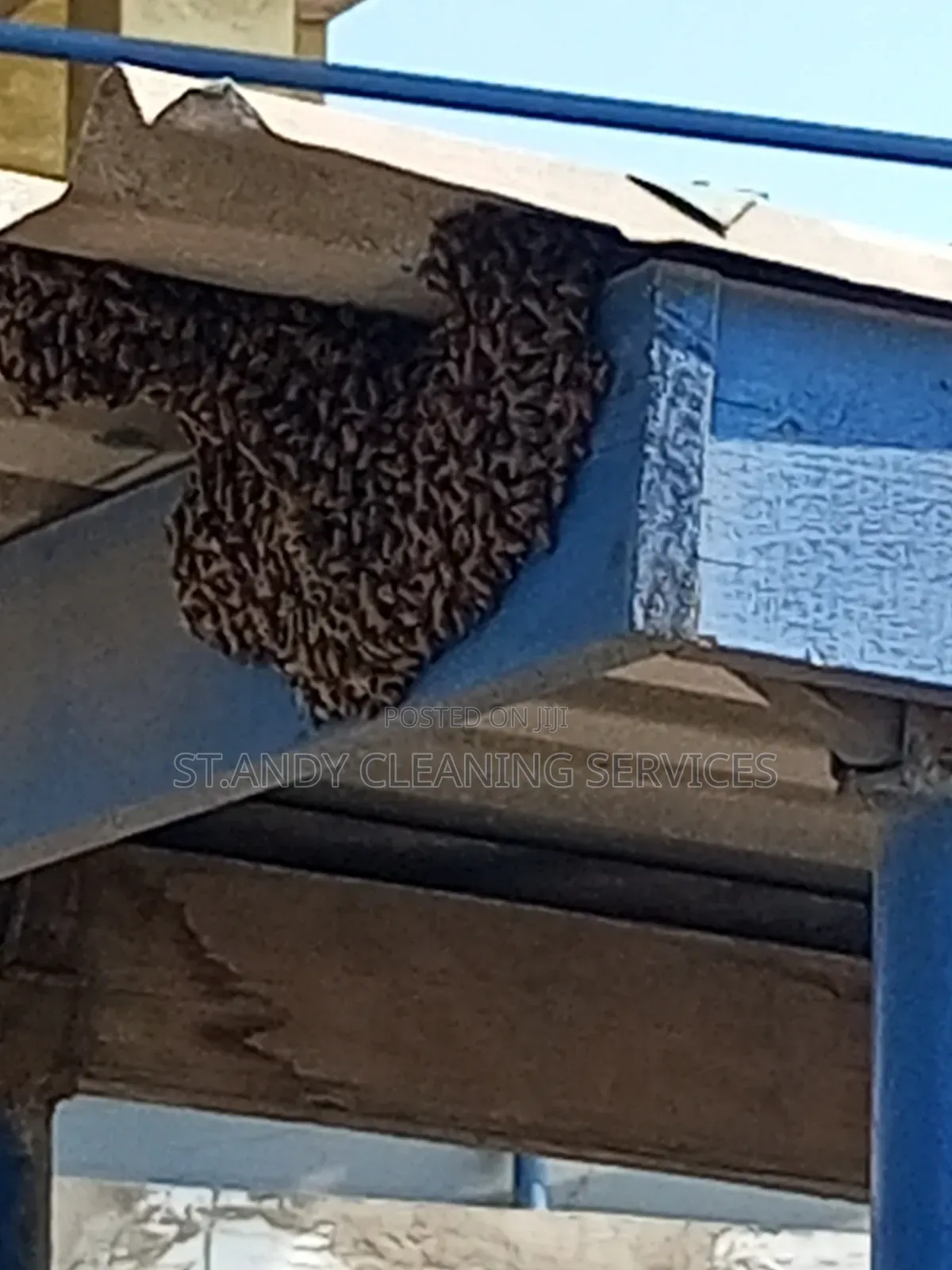 Fumigation