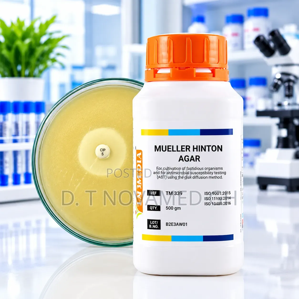 Mueller Hinton (Agar 500g)