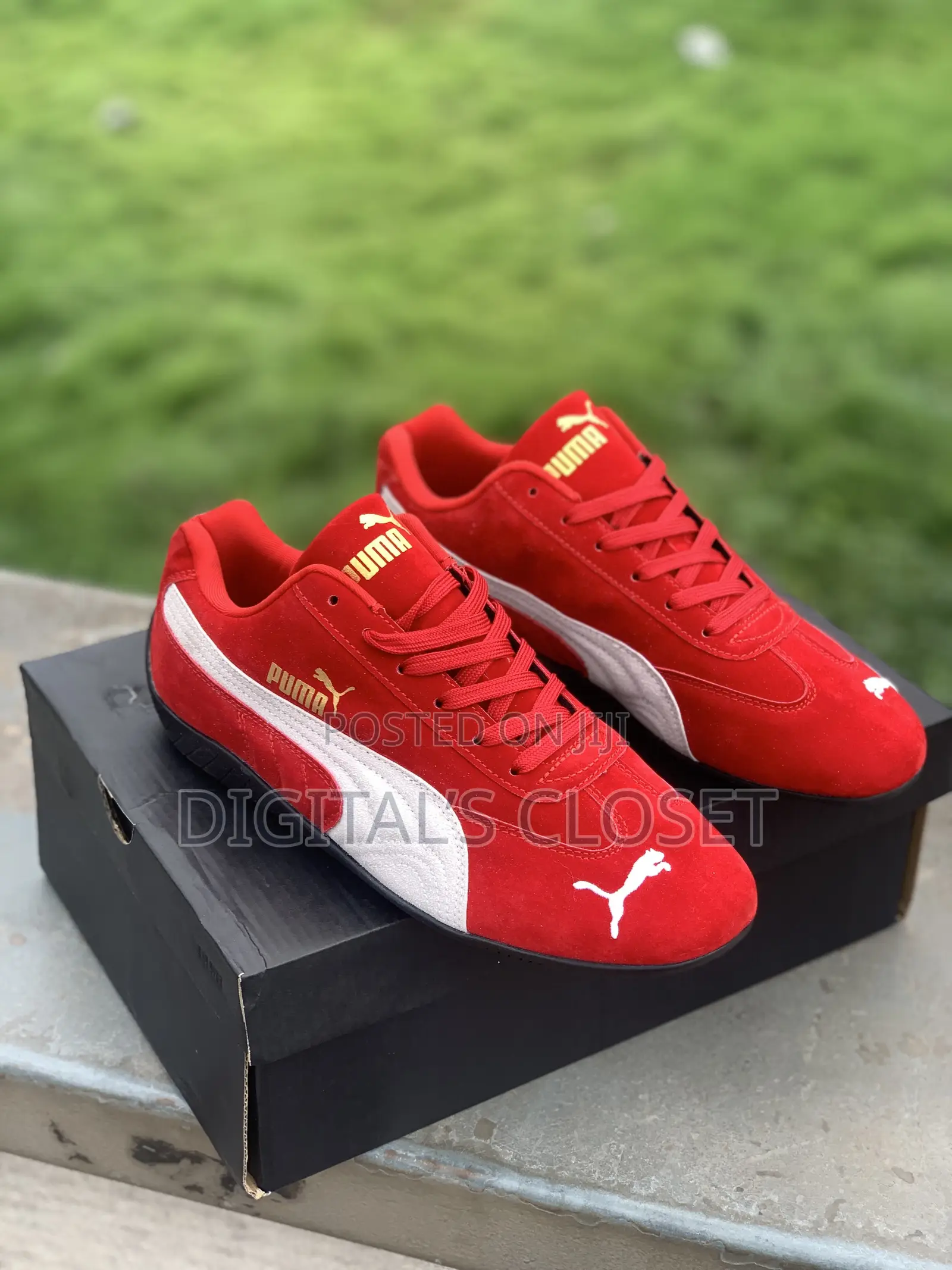 Original Puma Cat