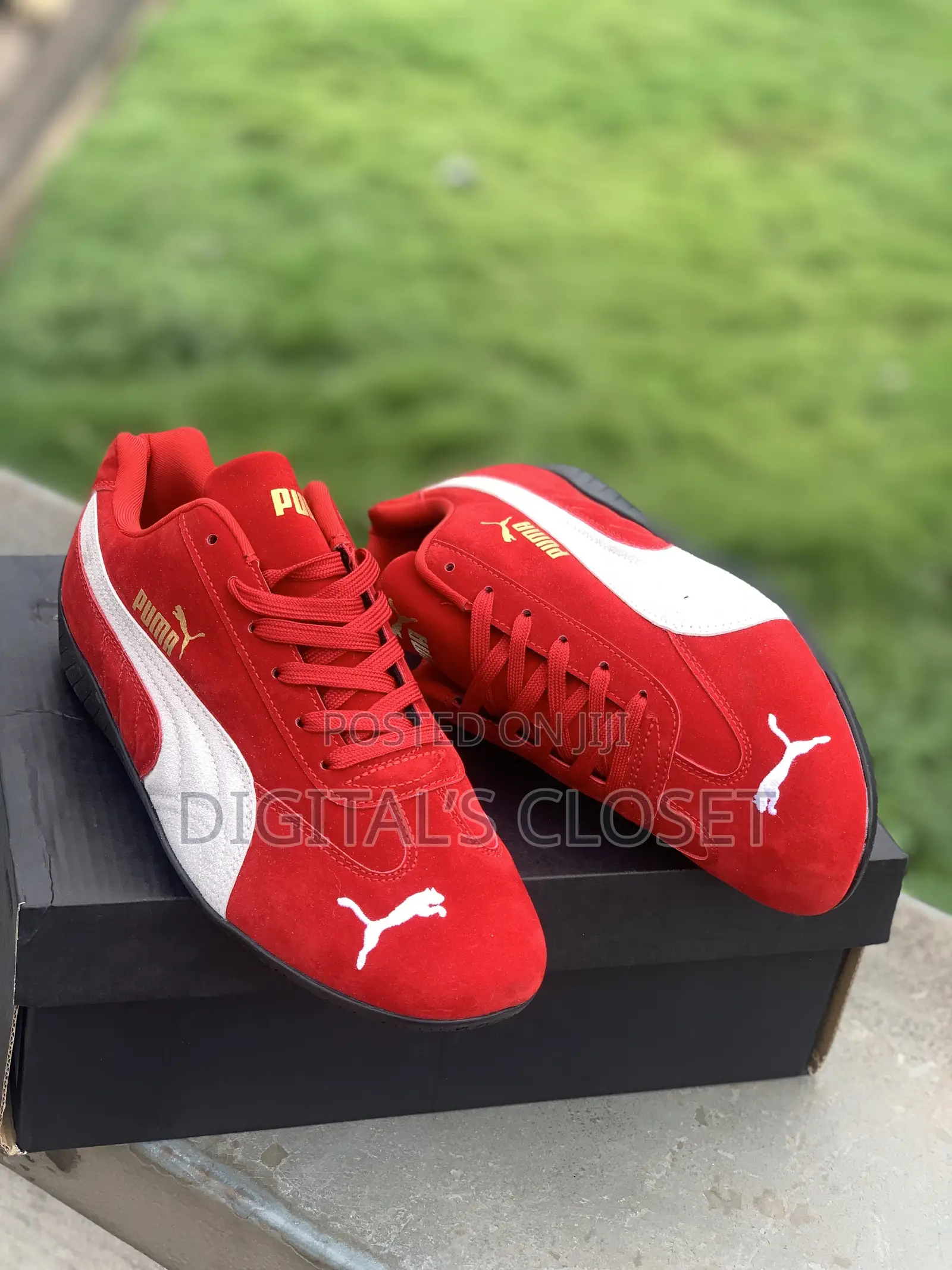 Original Puma Cat