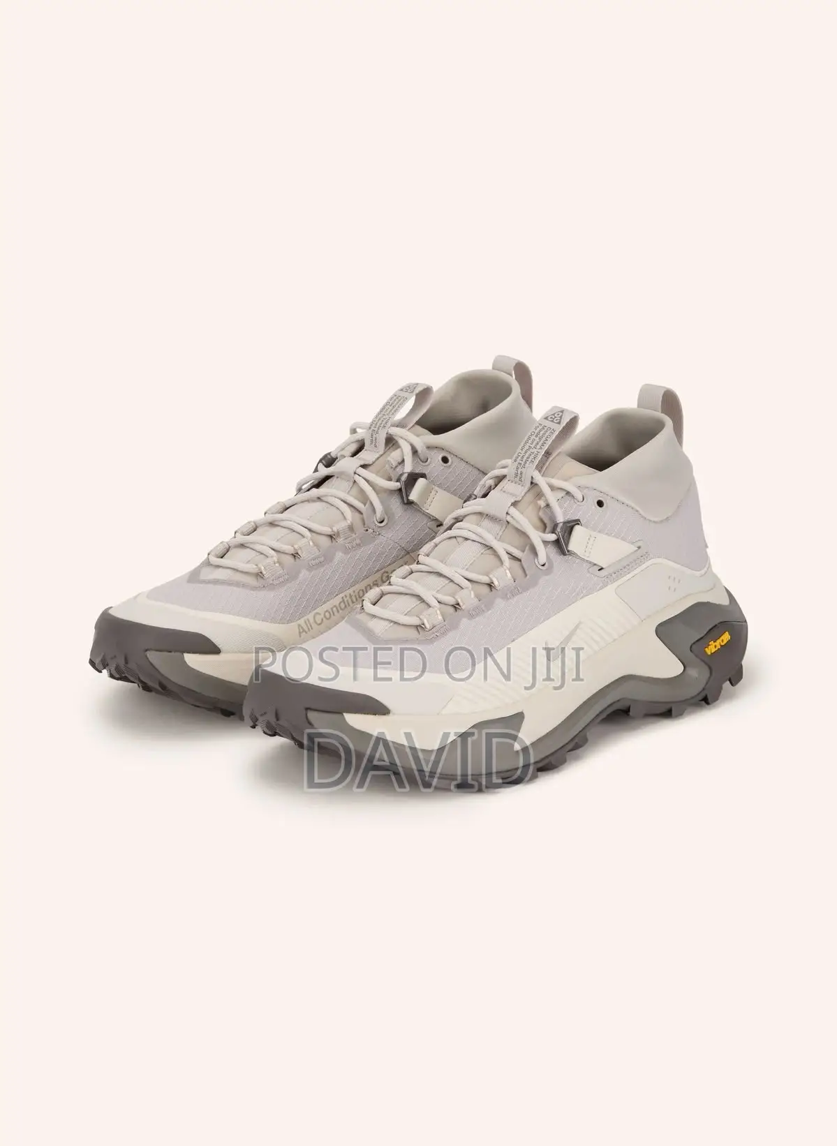 Nike Acg Mountain Fly Low