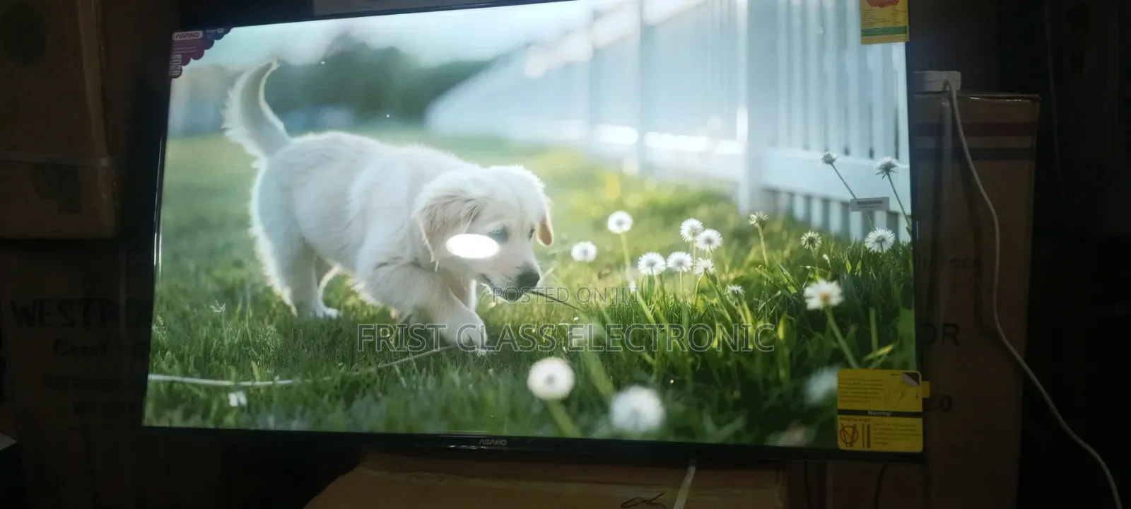 Asano Quality Smart TV HDMI Television