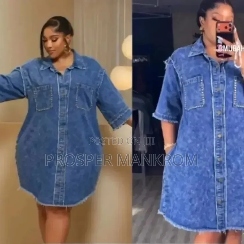 Lady Squirel Jeans Straight Dress