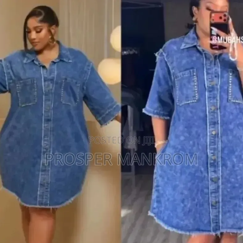 Lady Squirel Jeans Straight Dress