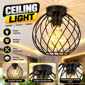 Ceiling Light