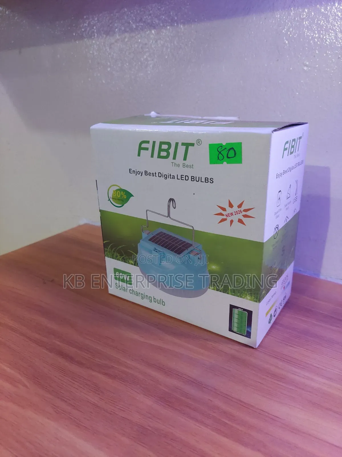 FIBIT 60W Solar Charging LED Bulb