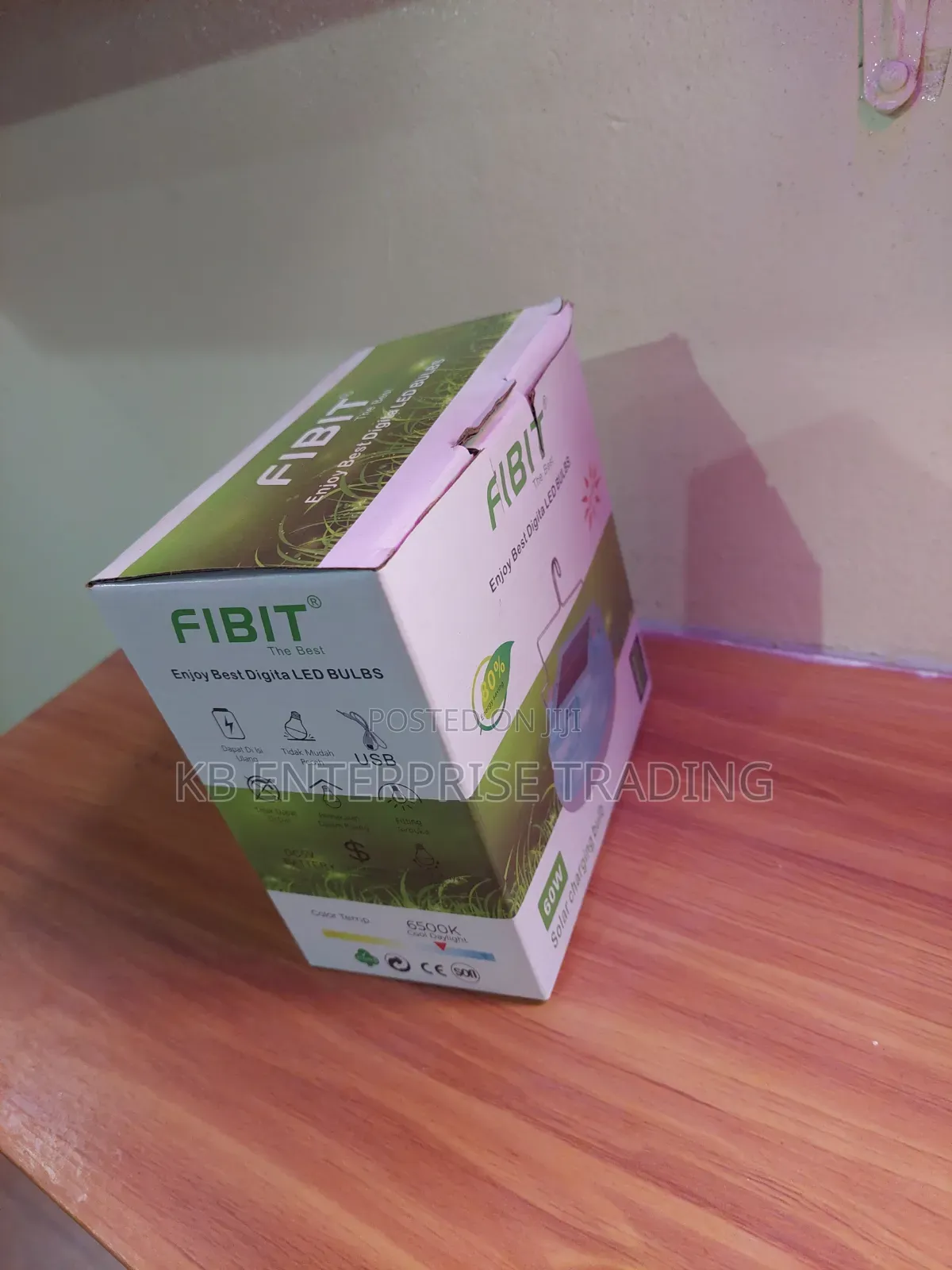 FIBIT 60W Solar Charging LED Bulb