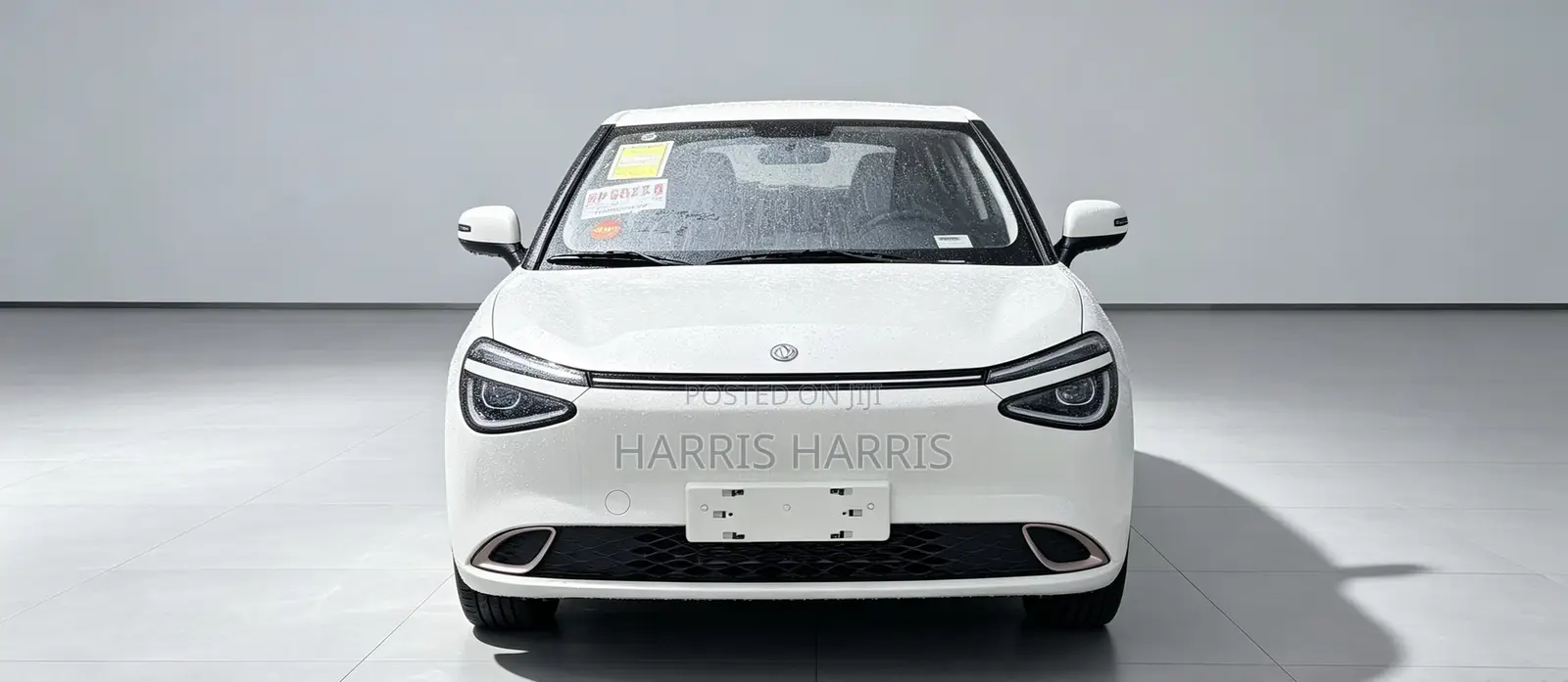 New Dongfeng Nammi 01 2025 White