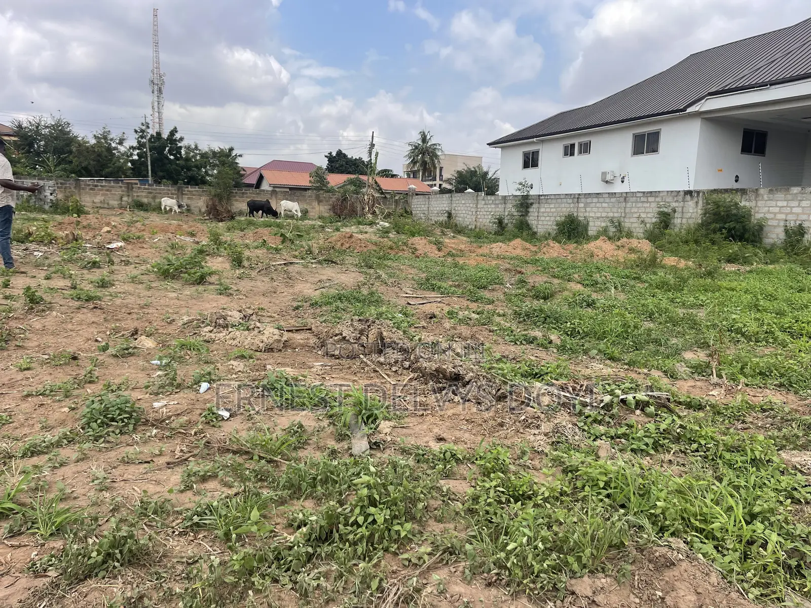 2 Acres of Titled Land Focus Sale