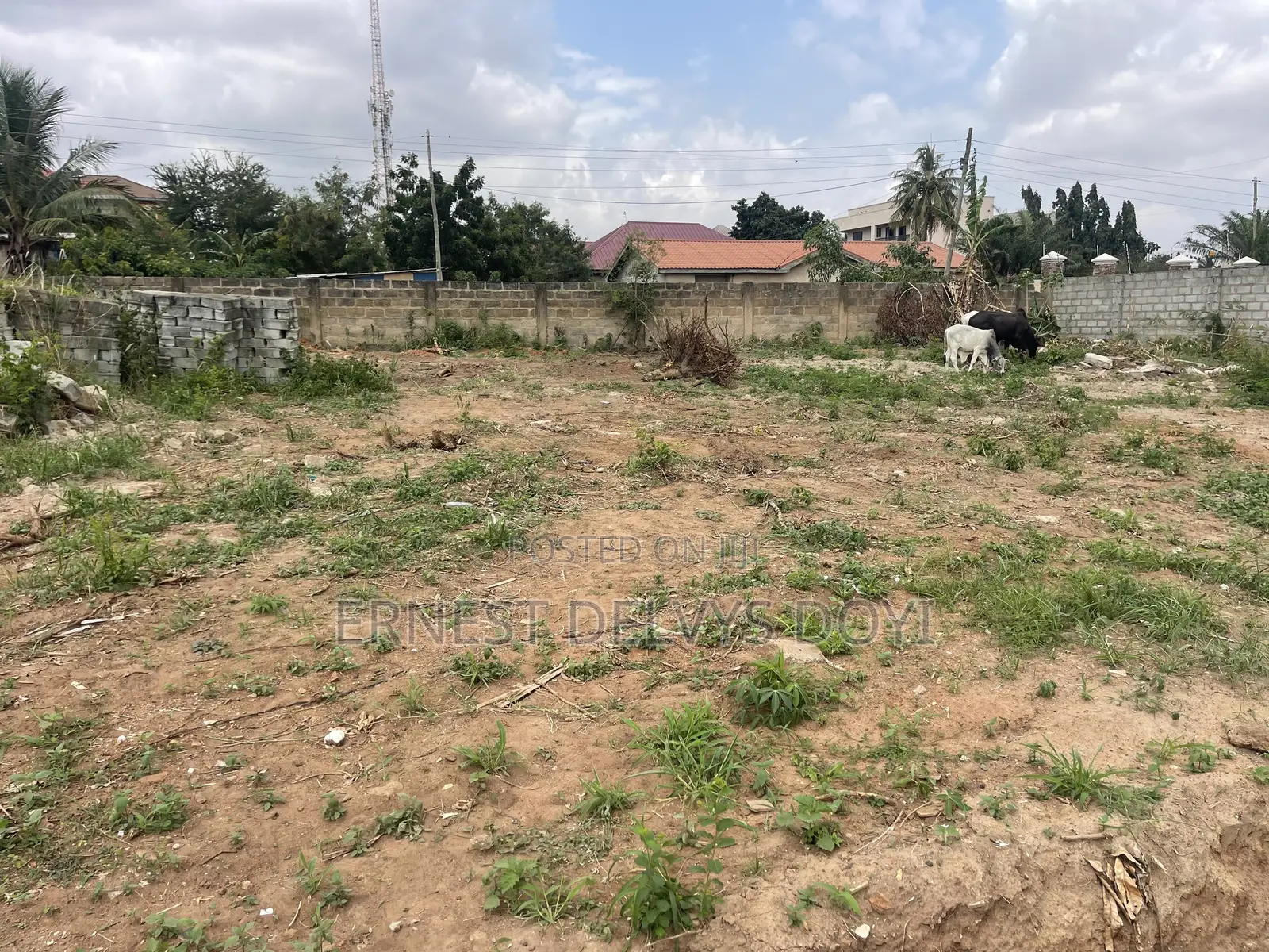 2 Acres of Titled Land Focus Sale