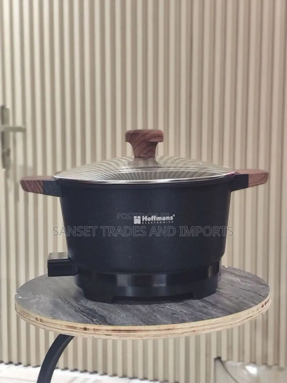 Electric Cooking Pot